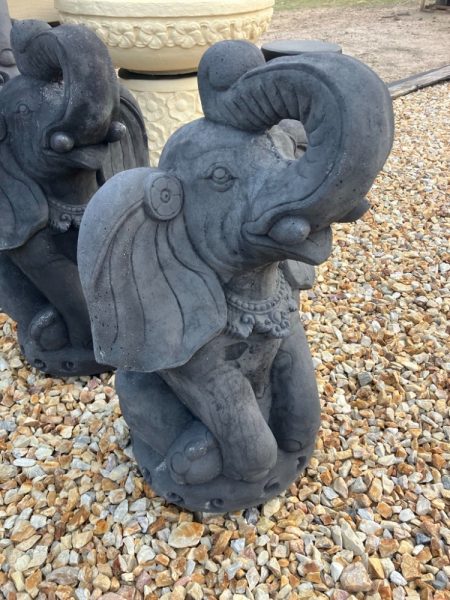 Large elephant charcoal